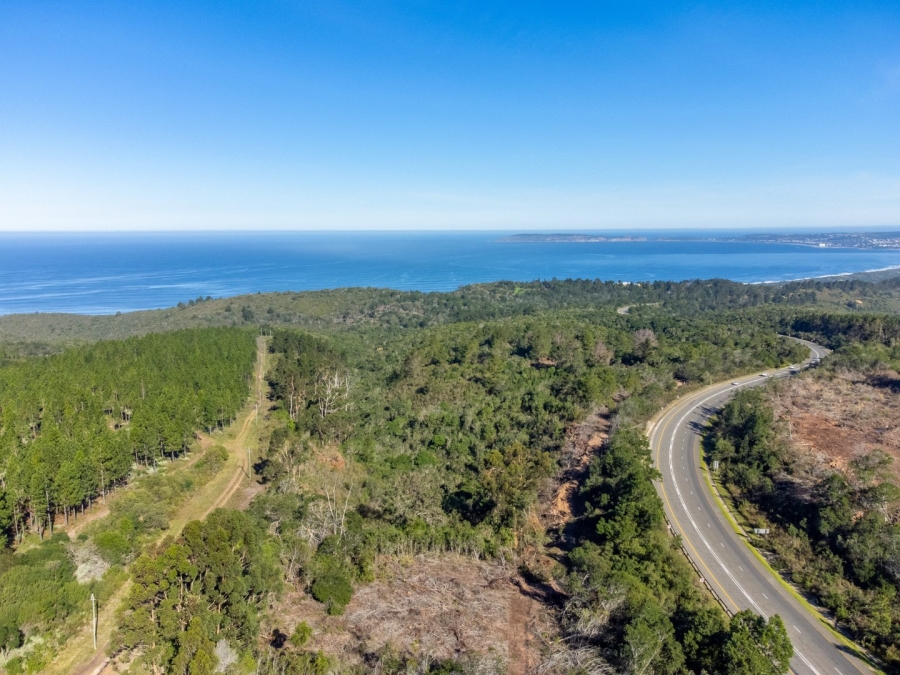 Commercial Property for Sale in Plettenberg Bay Rural Western Cape
